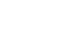 vatsana-client-logos_0010_hyundai
